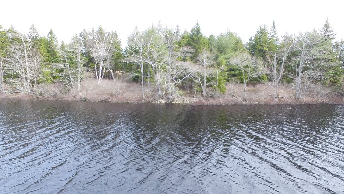 WentworthHalbinsel (92)